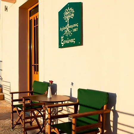 Xenon Guest house *